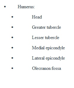 Real Anatomy Assignment